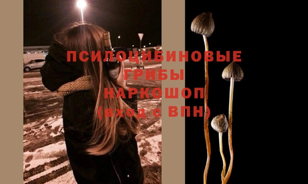 ГАЛЛЮЦИНОГЕННЫЕ ГРИБЫ Алексеевка