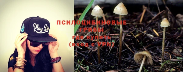 а пвп мука Алзамай