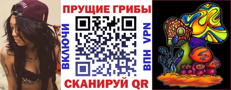 Галлюциногенные грибы Magic Shrooms Кремёнки